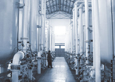 Hydrophilic PES Polyethersulfone Membrane Cartridge Filter For DI Water Terminal Filtration